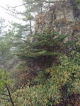 柞水牛背梁山中景观