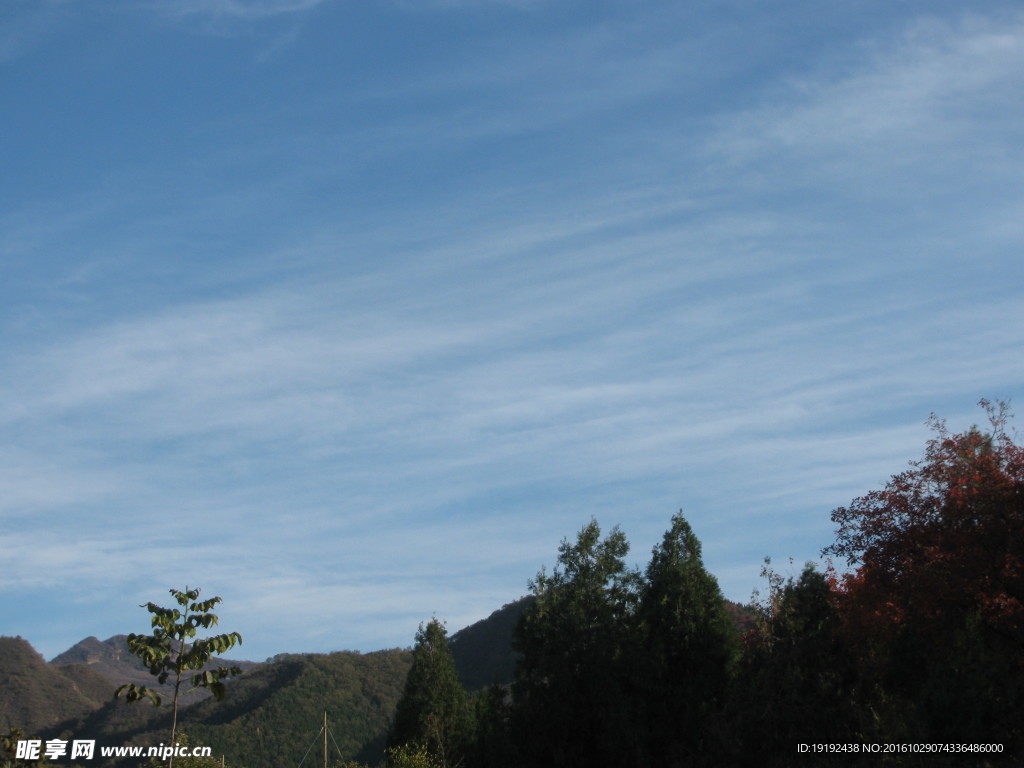 郊野美景