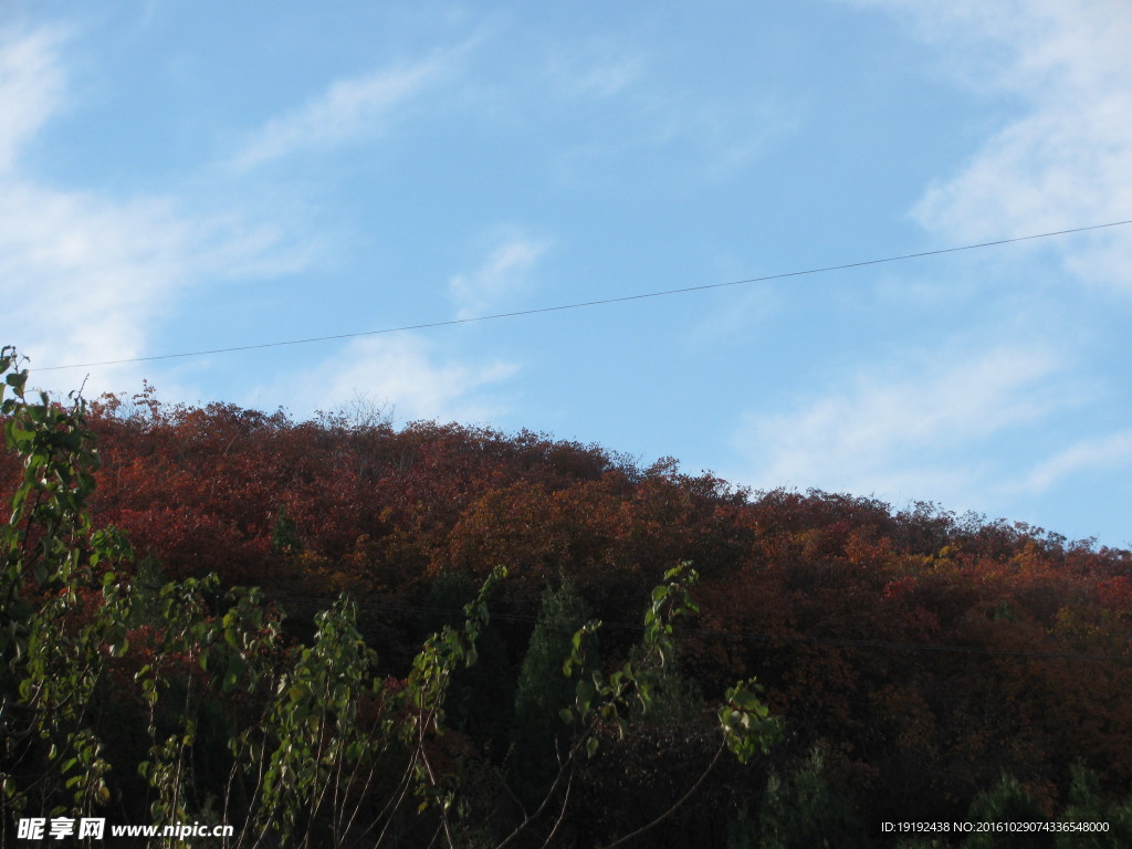 郊野美景