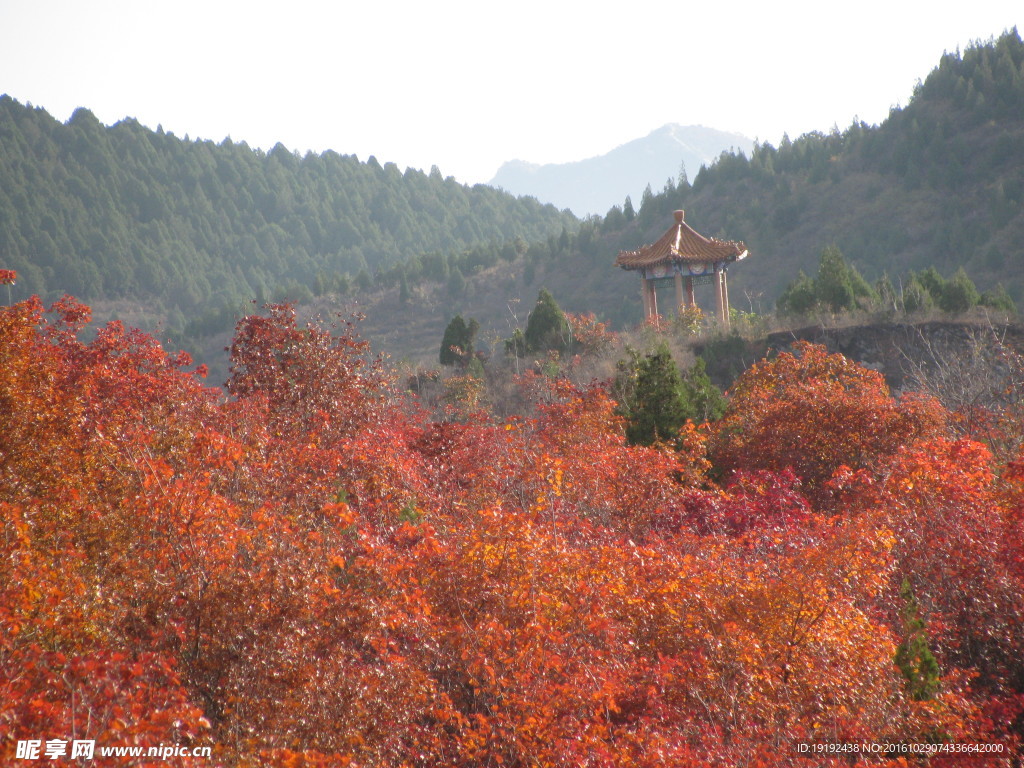 郊野美景