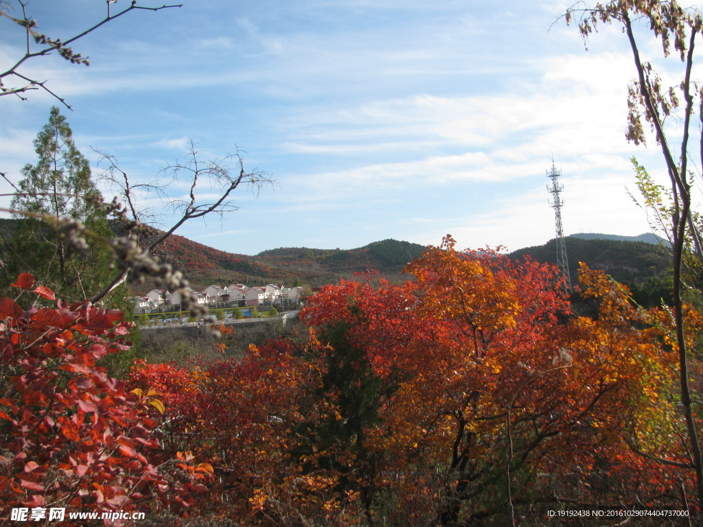 郊野美景