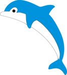 海豚
