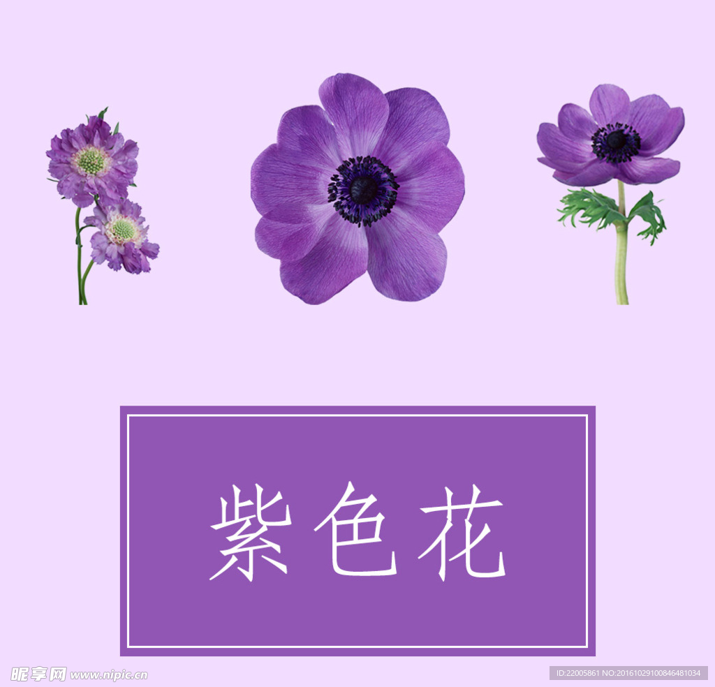 菊花花瓣花束分层素材下载