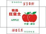 烟台苹果 精选红富士 苹果矢量