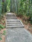 竹林绿道