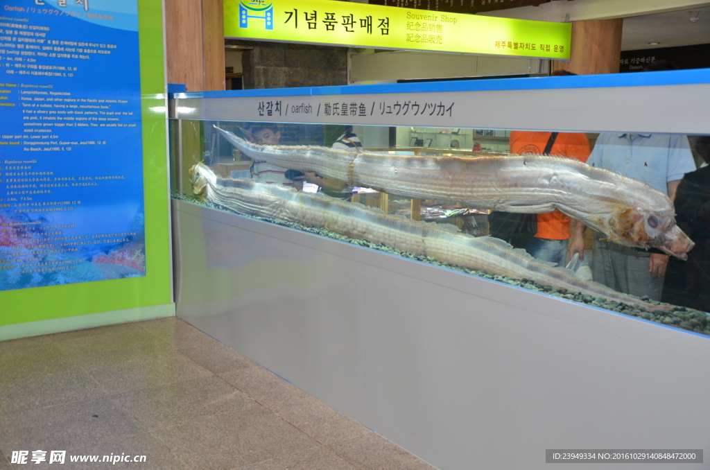 化石展厅