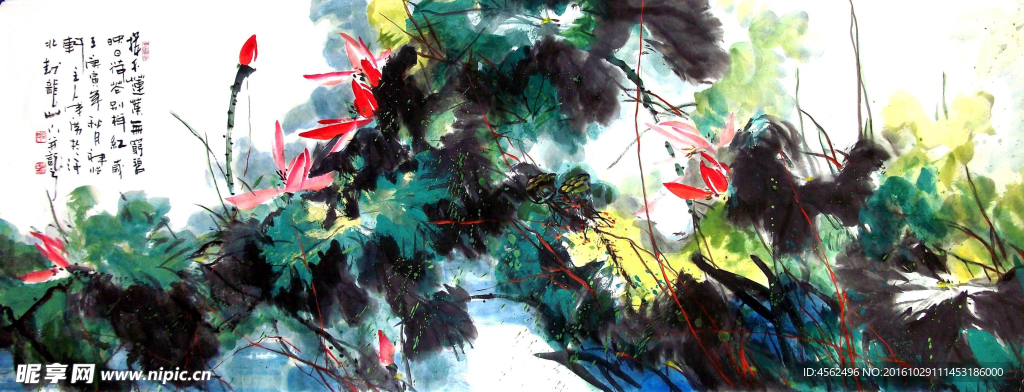 荷花国画