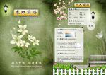 求职简历