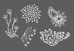 花朵简笔画