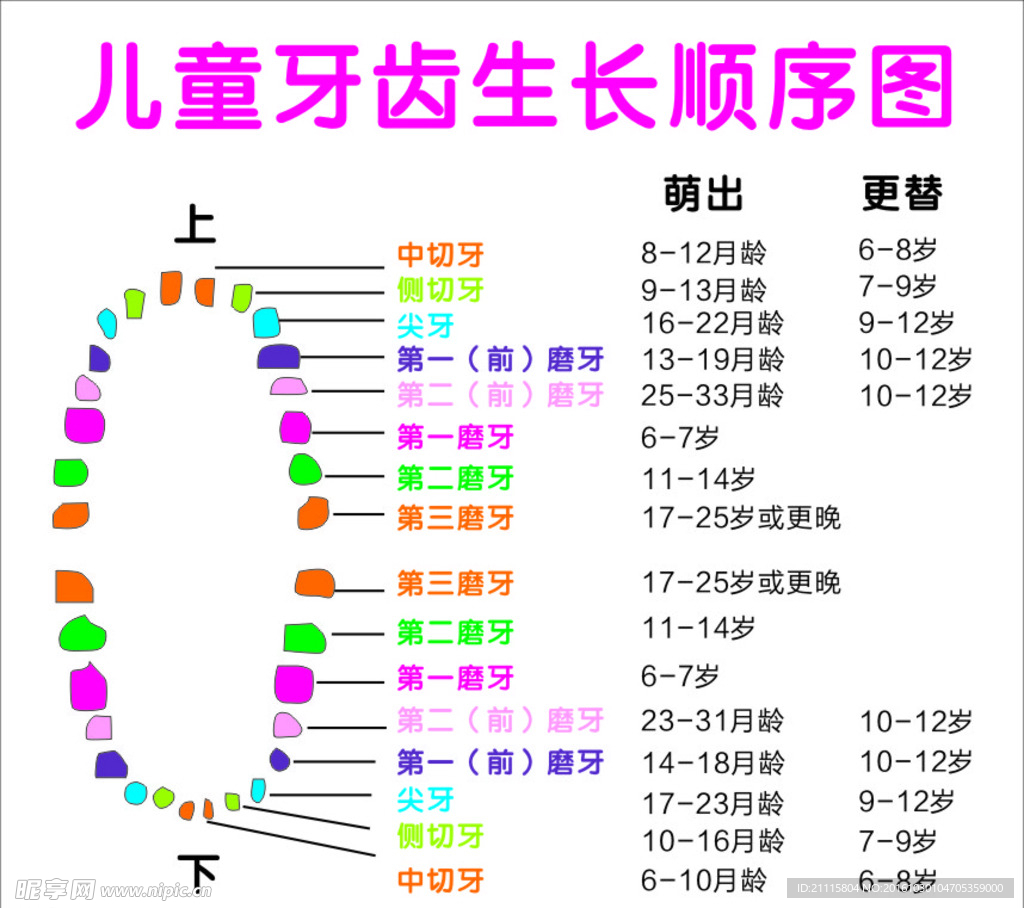 儿童牙齿反颌矫正器图,恒牙,年龄_大山谷图库