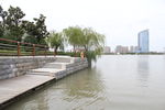太仓天镜湖