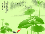 荷花中国风