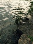 西湖水