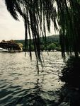 西湖