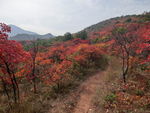 嵩山秋色