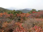 少室山风光