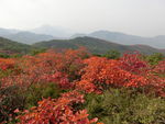 嵩山秋色