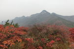 少室山秋季景色