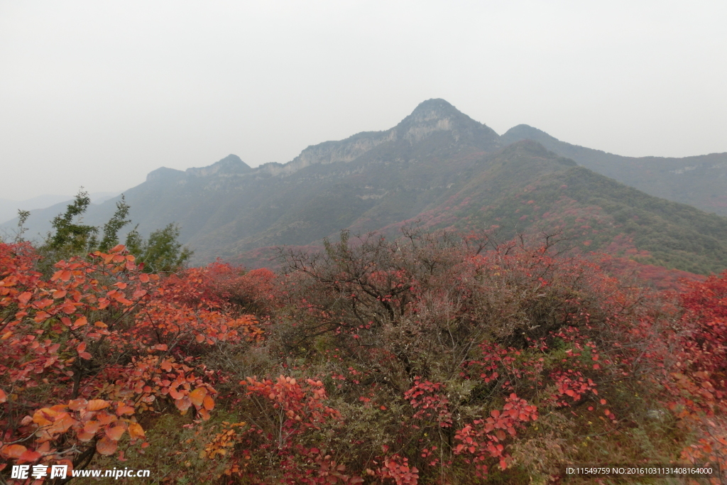 少室山秋季景色