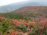 少室山的秋天