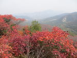 嵩山秋色