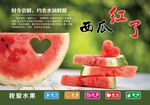 西瓜