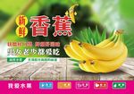 香蕉