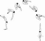 插画 矢量图  手绘 线条图