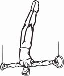 插画 矢量图  手绘 线条图