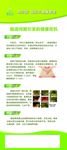 福乐元肠道引发的健康危机展架
