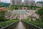 公共单车停车场