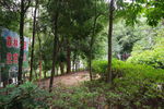 百岁山顶