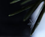 冰雪