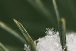 冰雪