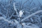 冰雪
