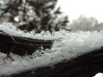 冰雪