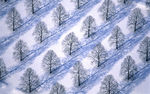 冰雪
