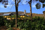 灵山胜境