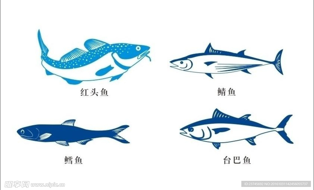 鱼