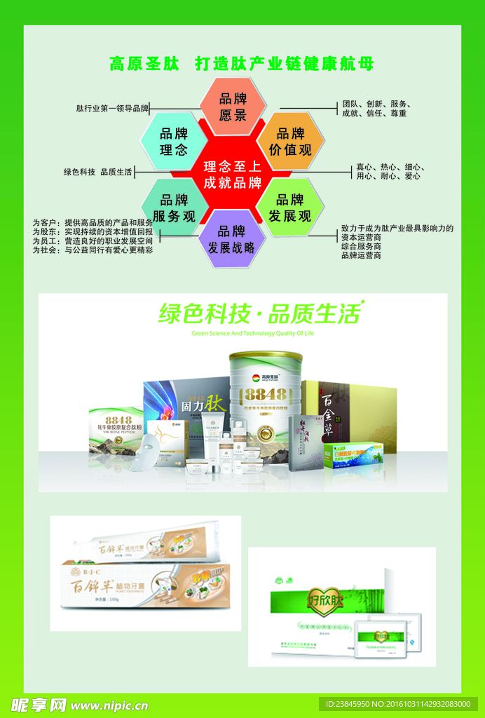 高原圣肽传单简介