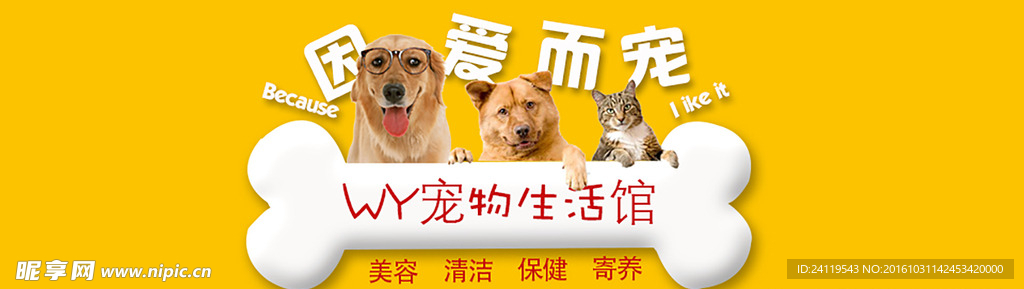 宠物banner