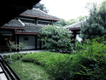 庭院