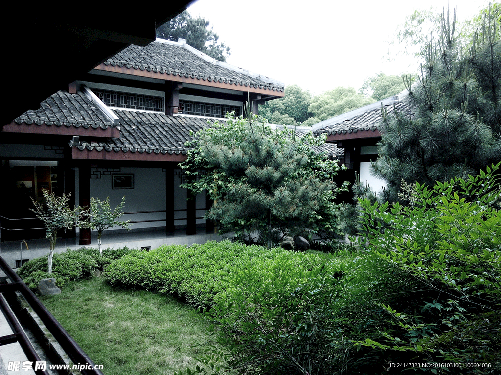 庭院