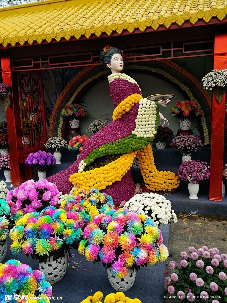 开封菊展