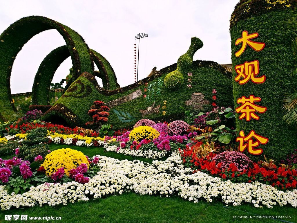 开封菊展