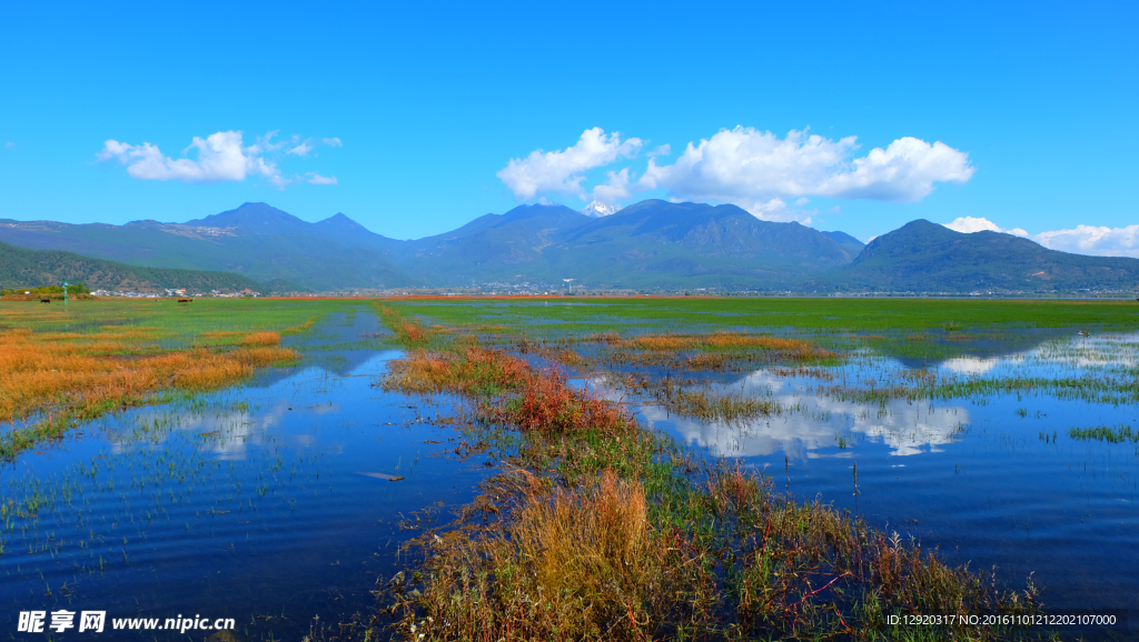 拉市海