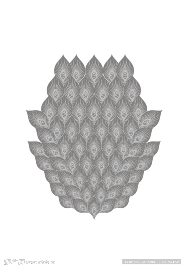 羽毛
