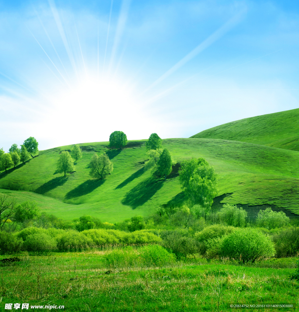 草原美景