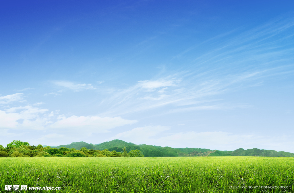 草原美景