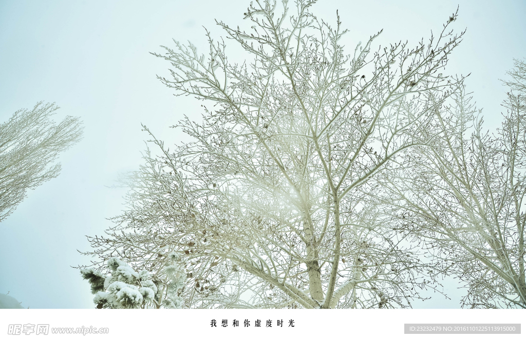 石河子下雪了